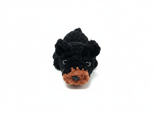 Tiny Rottweiler Puppy